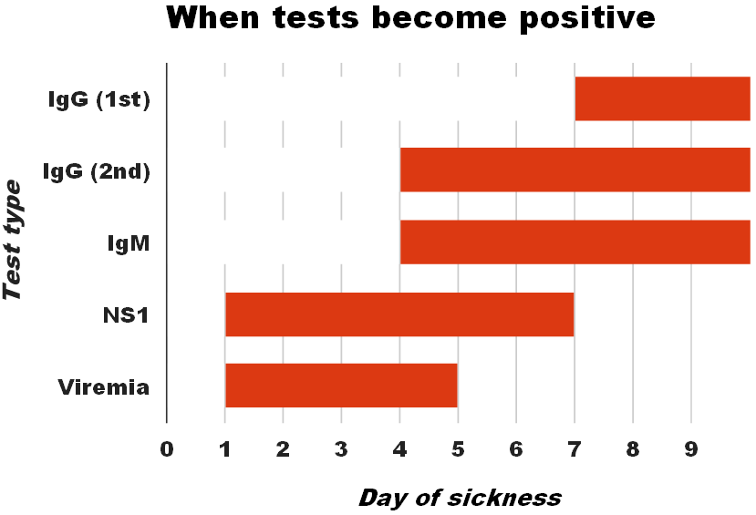 A diagram illustrating when different types of tests become positive in dengue fever