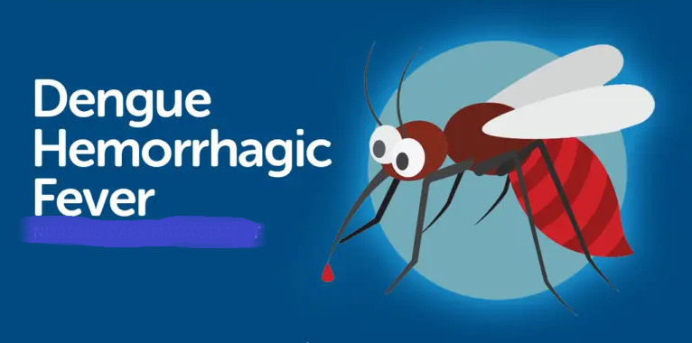 dengue hemorrhagic fever