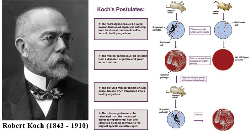 Koch's postulates
